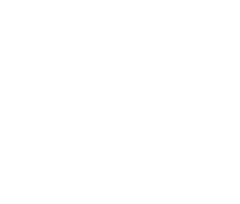 AXE VENTURA Logo
